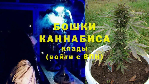 молекула духа Магадан