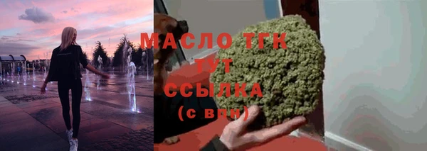 прущие крисы Бородино
