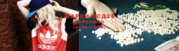 молекула духа Магадан