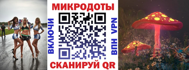 Галлюциногенные грибы Psilocybe  где продают наркотики  Сычёвка 